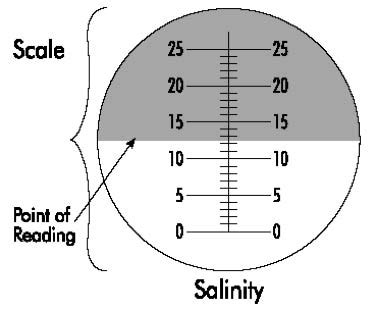 how to read a refractometer